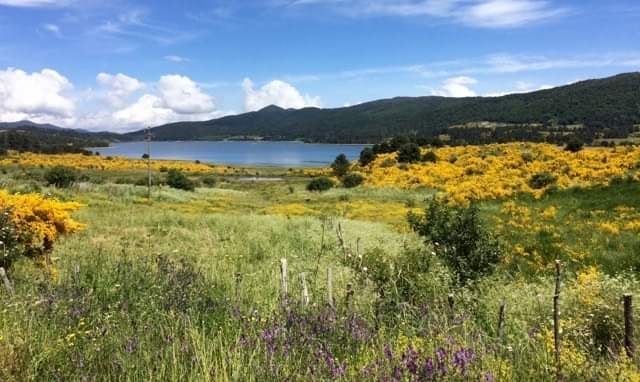 lago arvo- lorica